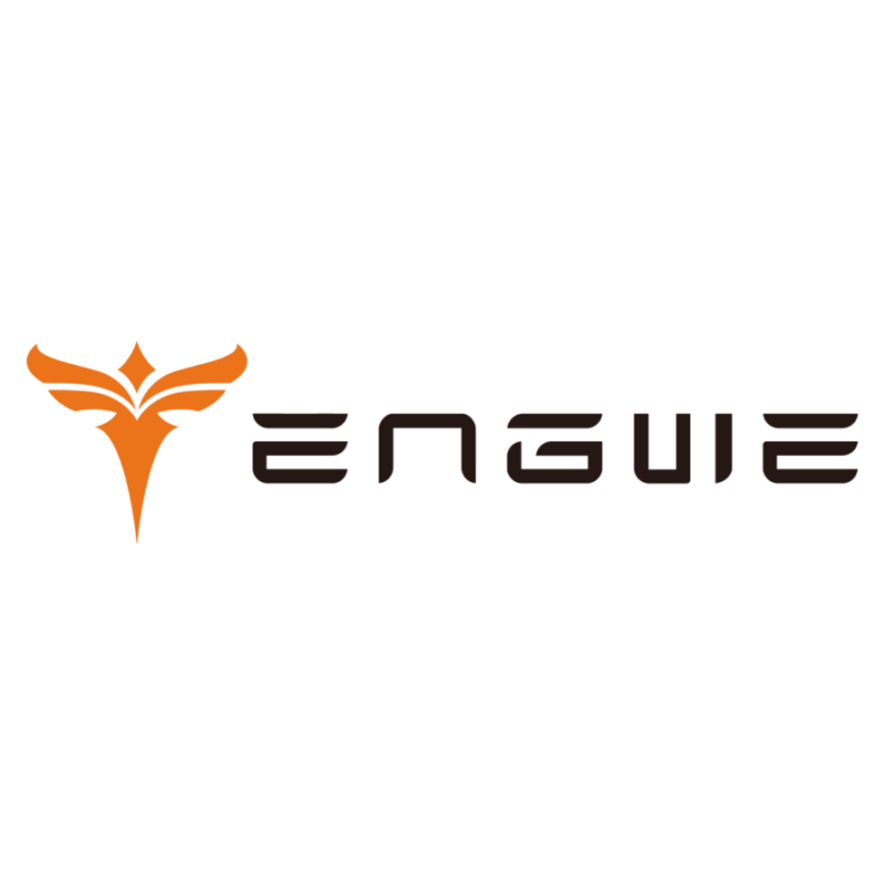 Engwe EU
